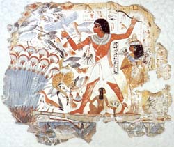 gal/barcas1/nebamuncazapajarosea_fig_11.jpg